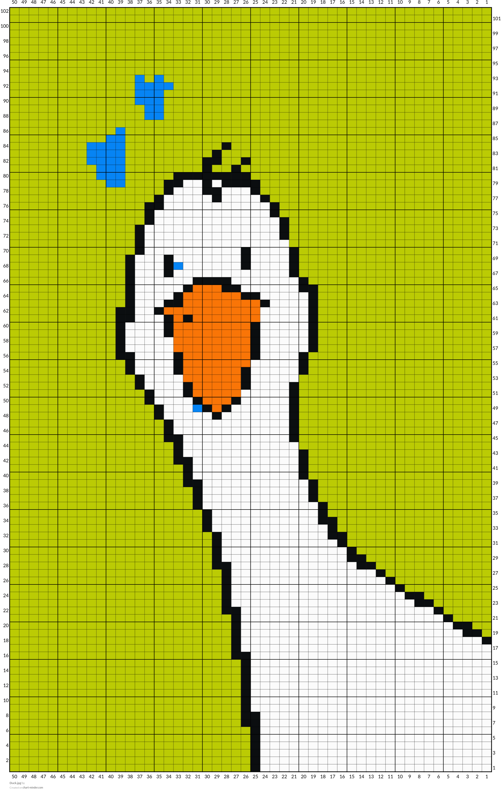 Duck.jpg