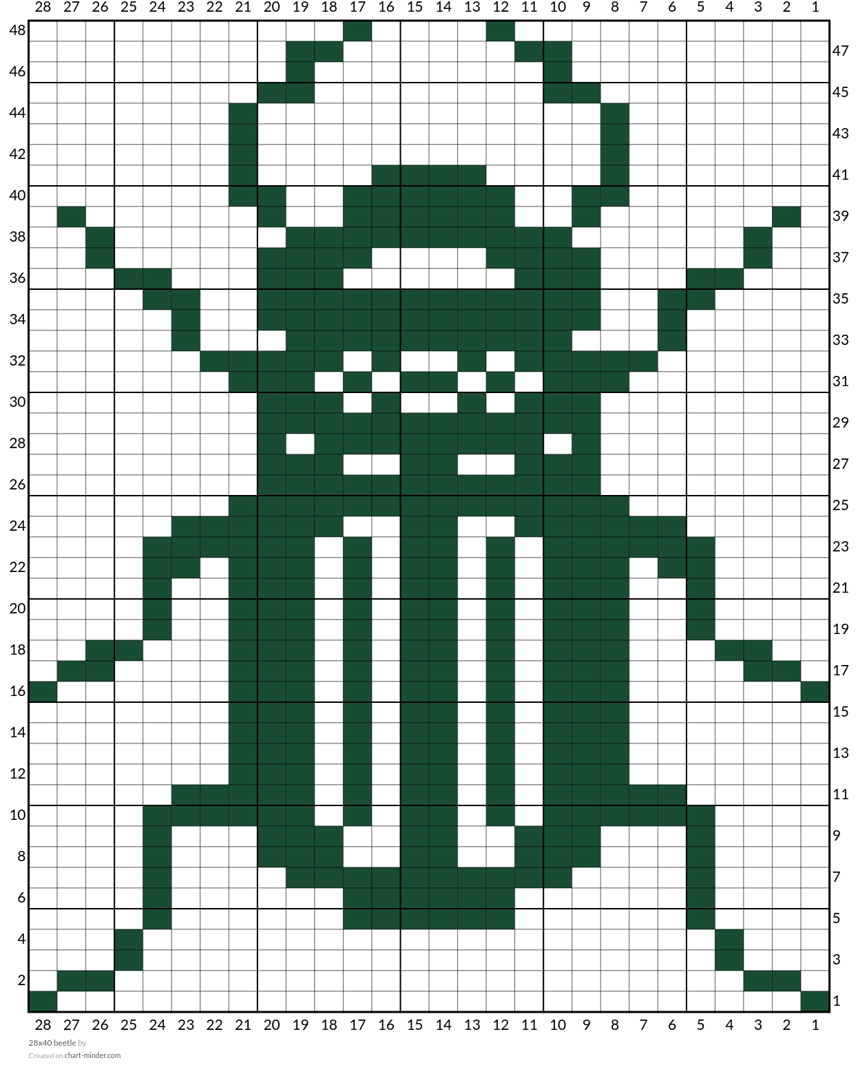 28x40 beetle
