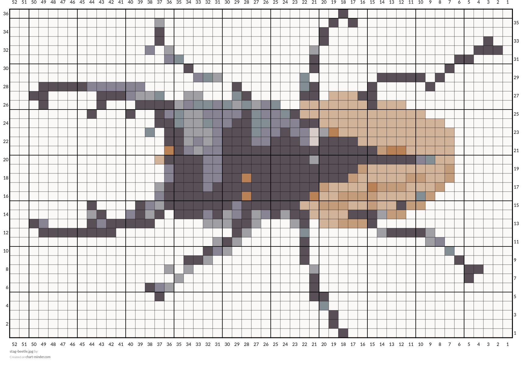 stag-beetle.jpg
