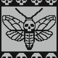 Moth.jpg
