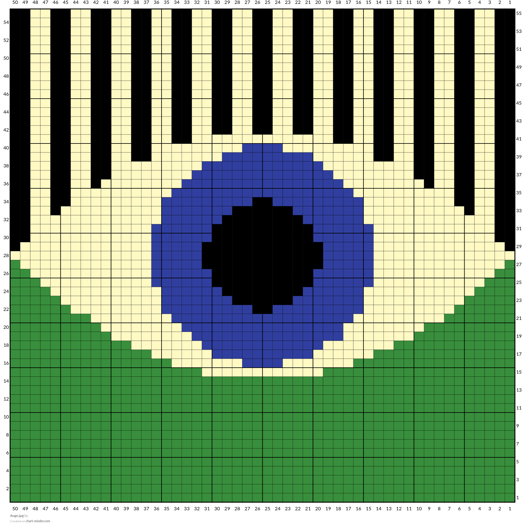 Auge.jpg