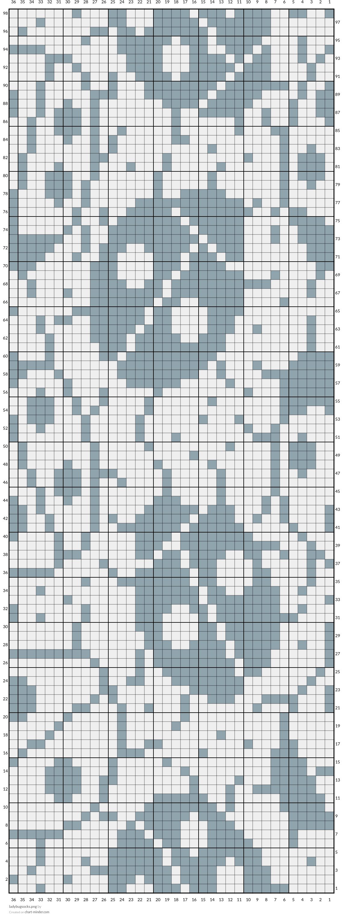 ladybugsocks.png