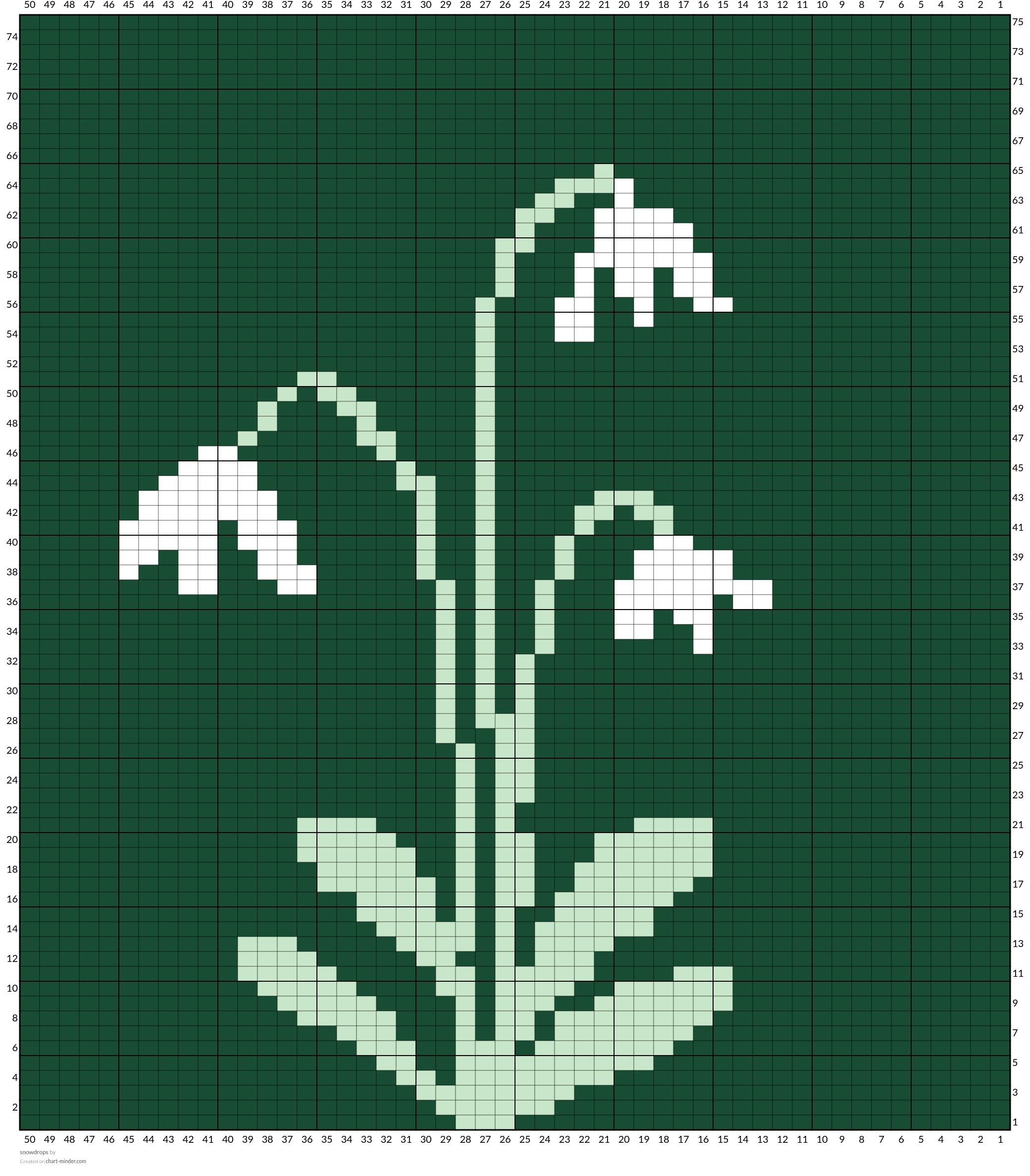 snowdrops