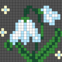 Snowdrop flower 