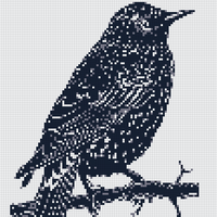 Starling