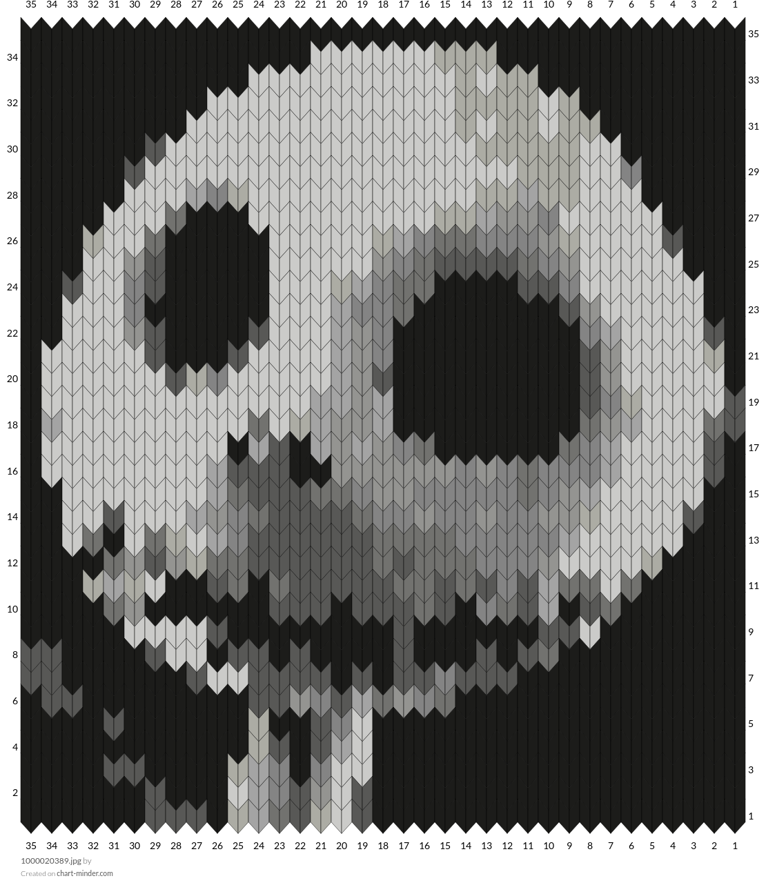 1000020389.jpg