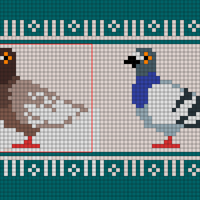 pigeon1
