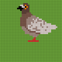 Copy of pigeon1
