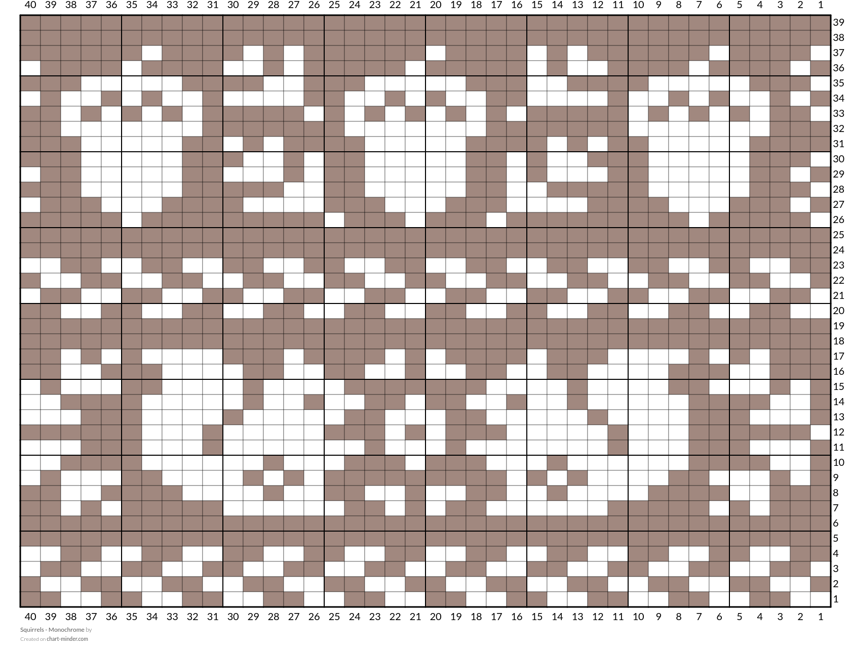 Squirrels - black brown