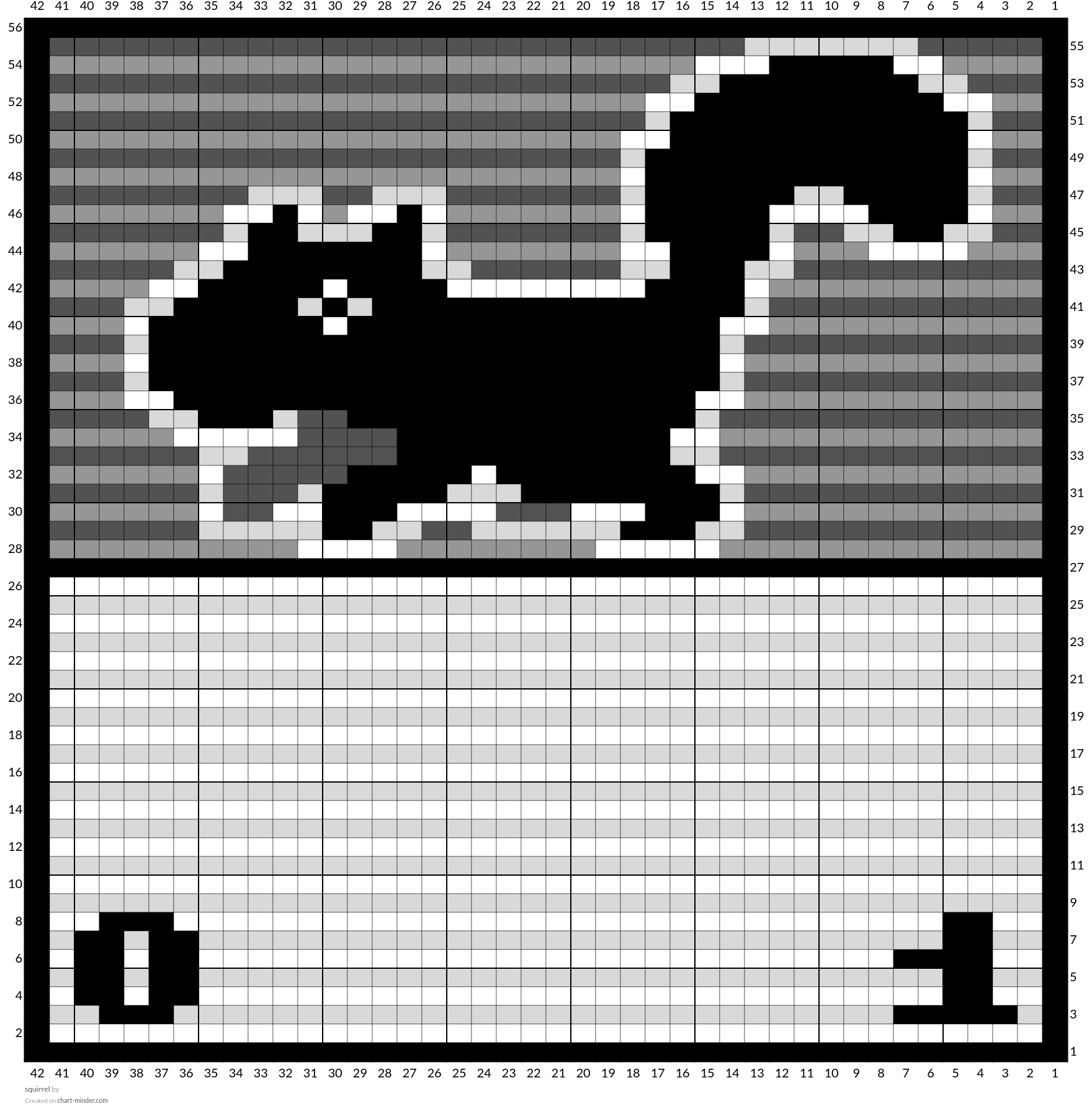squirrel 