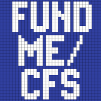 3 Fund ME/CFS Q