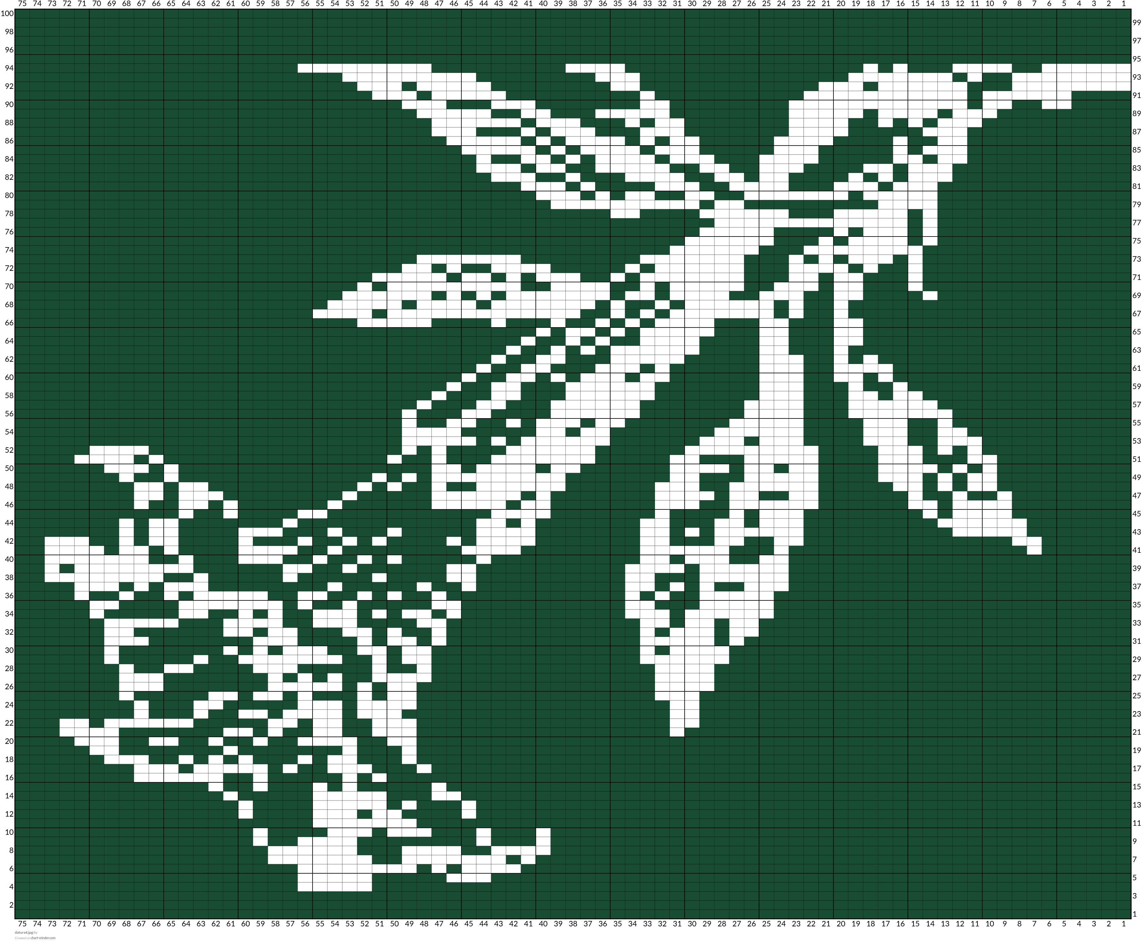 datura4.jpg