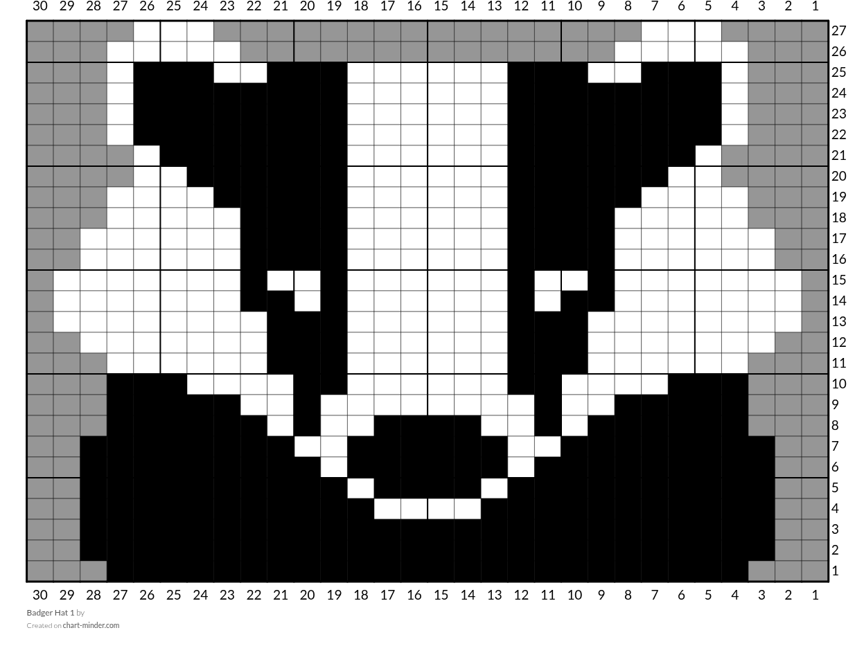 Badger Hat 1