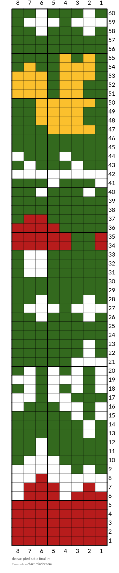 dessus pied katia final