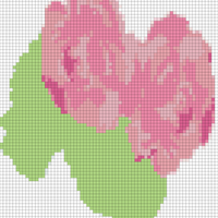 MARCOS CHALEK OK.jpg