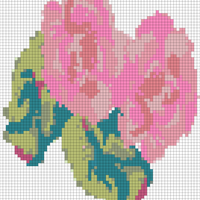 MARCOS CHALEK OK.jpg