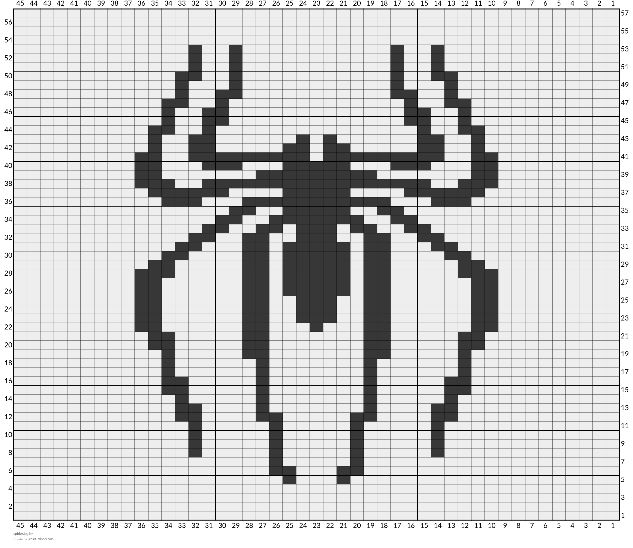 spider.jpg