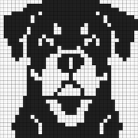 IMG_8674.png