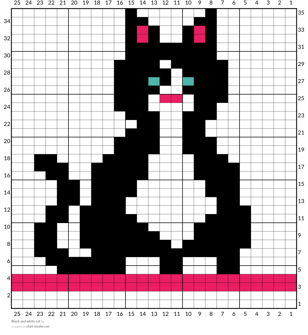 Black and white cat