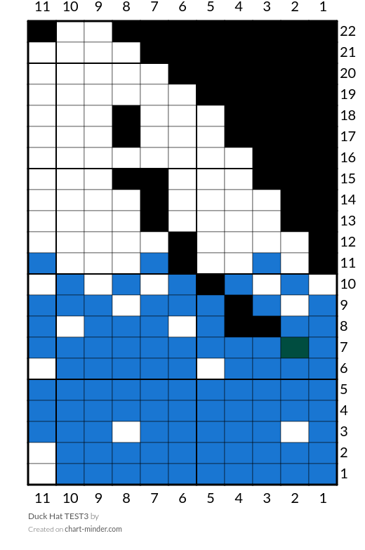 Duck Hat TEST3