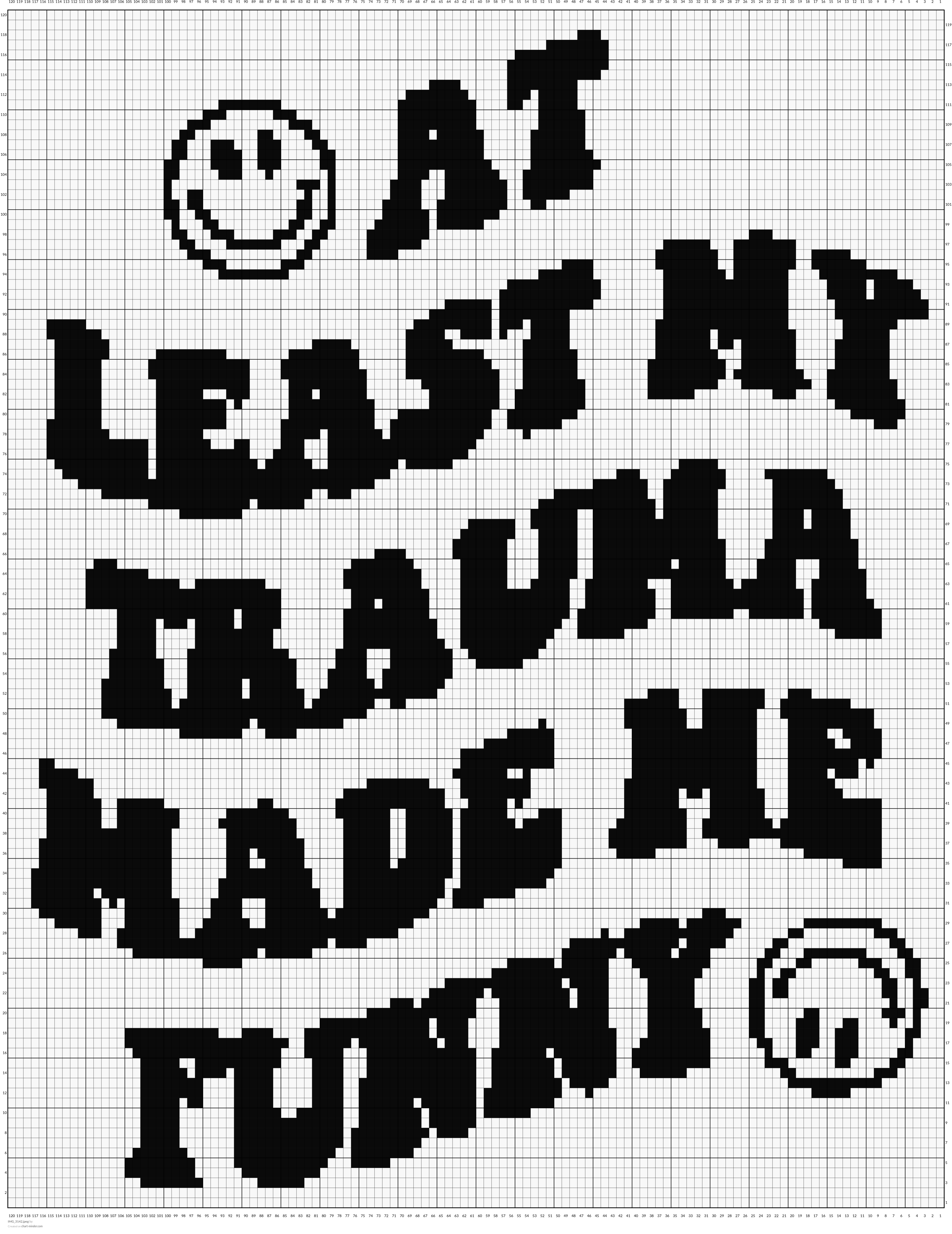IMG_3142.jpeg