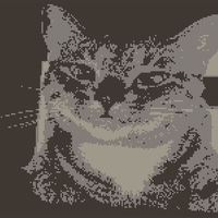 Copy of Courtney's Cat_1 -png.png