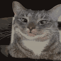 Copy of Courtney's Cat_1 -png.png