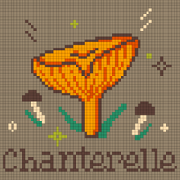 Chanterelle