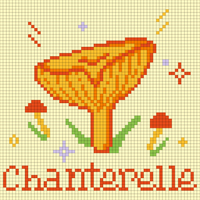 Chanterelle