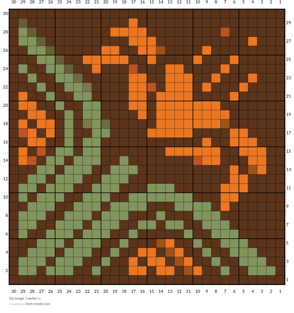 lily image 1.webp