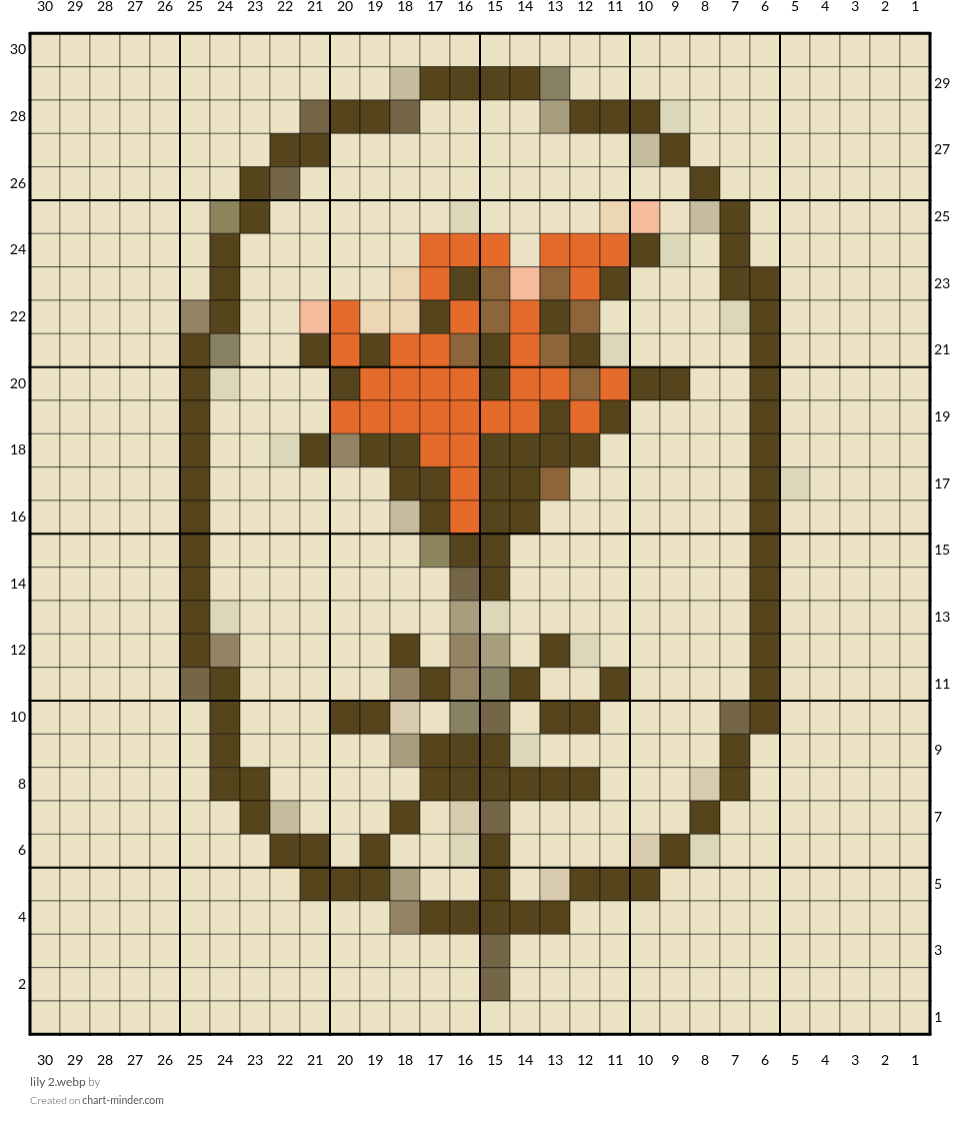 lily 2.webp