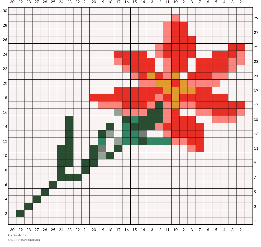 Lily 3.webp