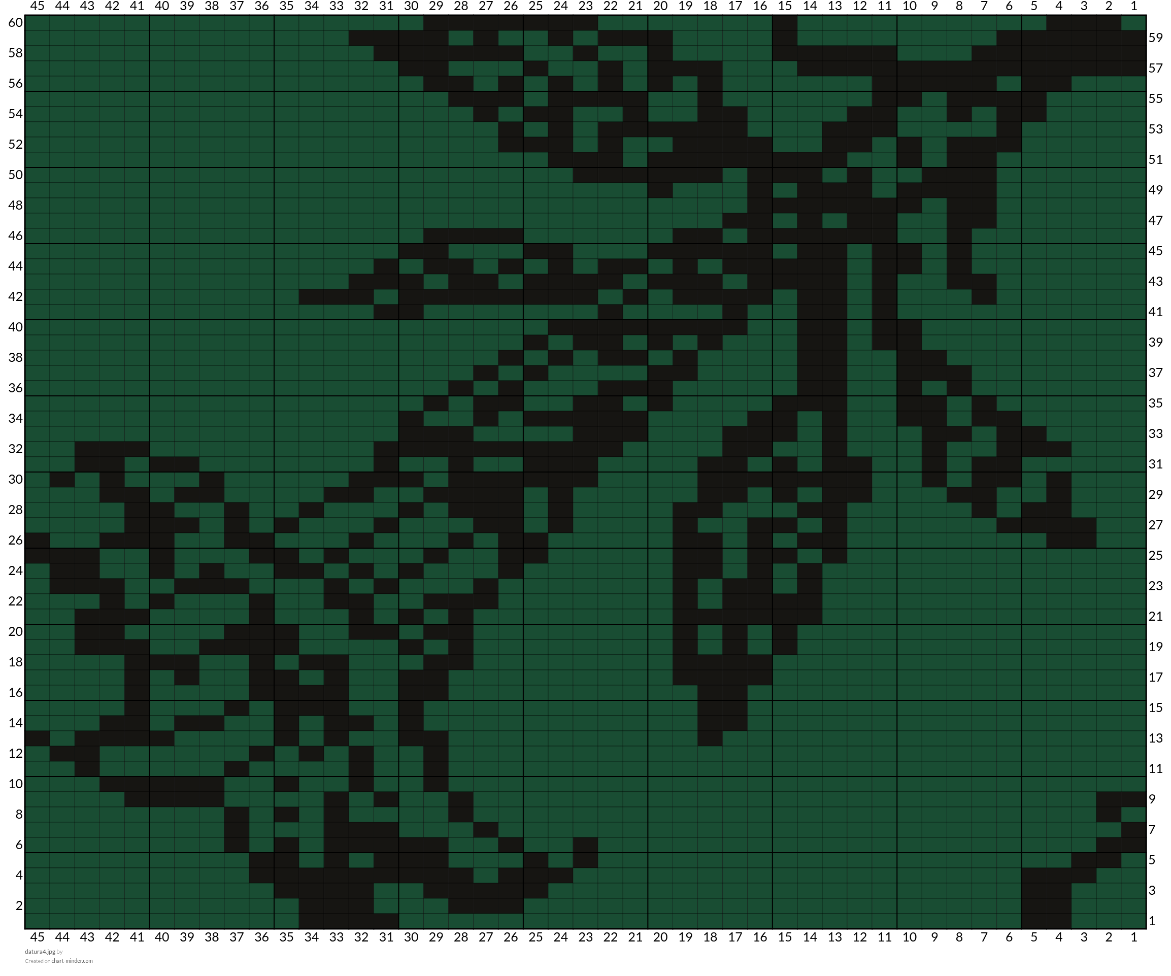 datura4.jpg