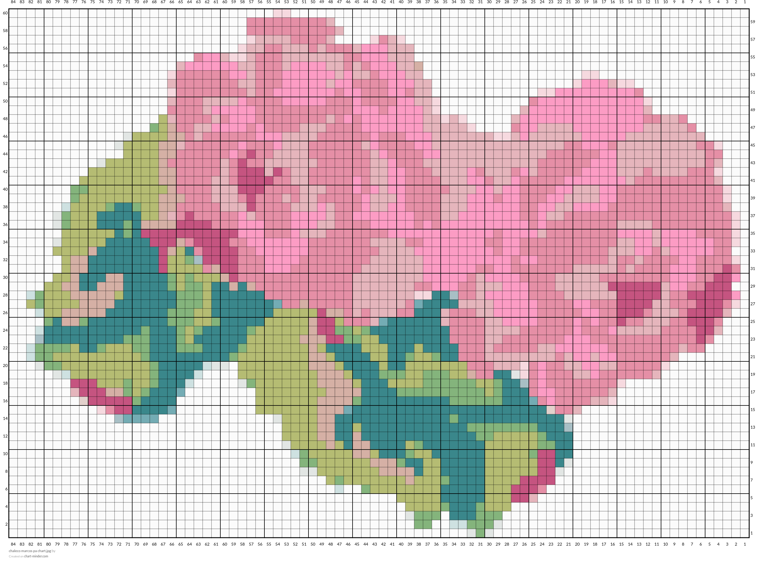 chaleco marcos pa chart.jpg