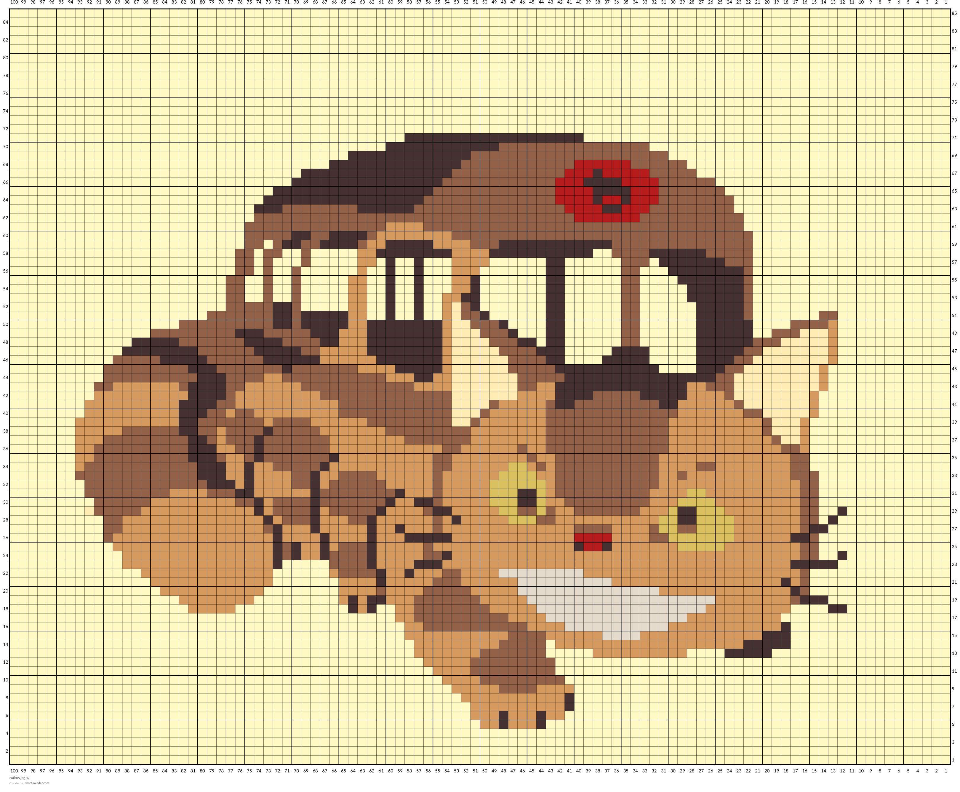 catbus.jpg