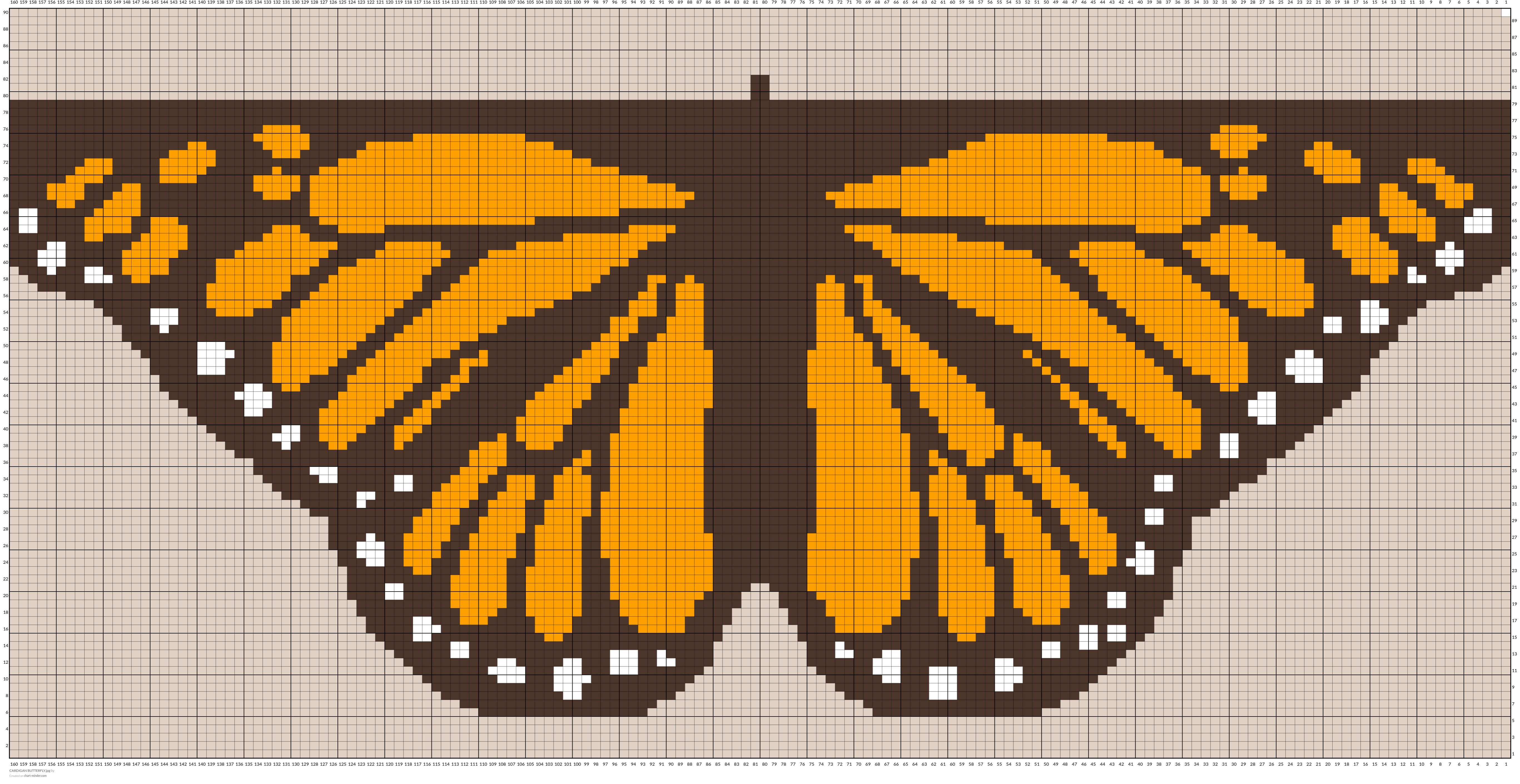 CARDIGAN BUTTERFLY.jpg