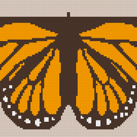 CARDIGAN BUTTERFLY.jpg