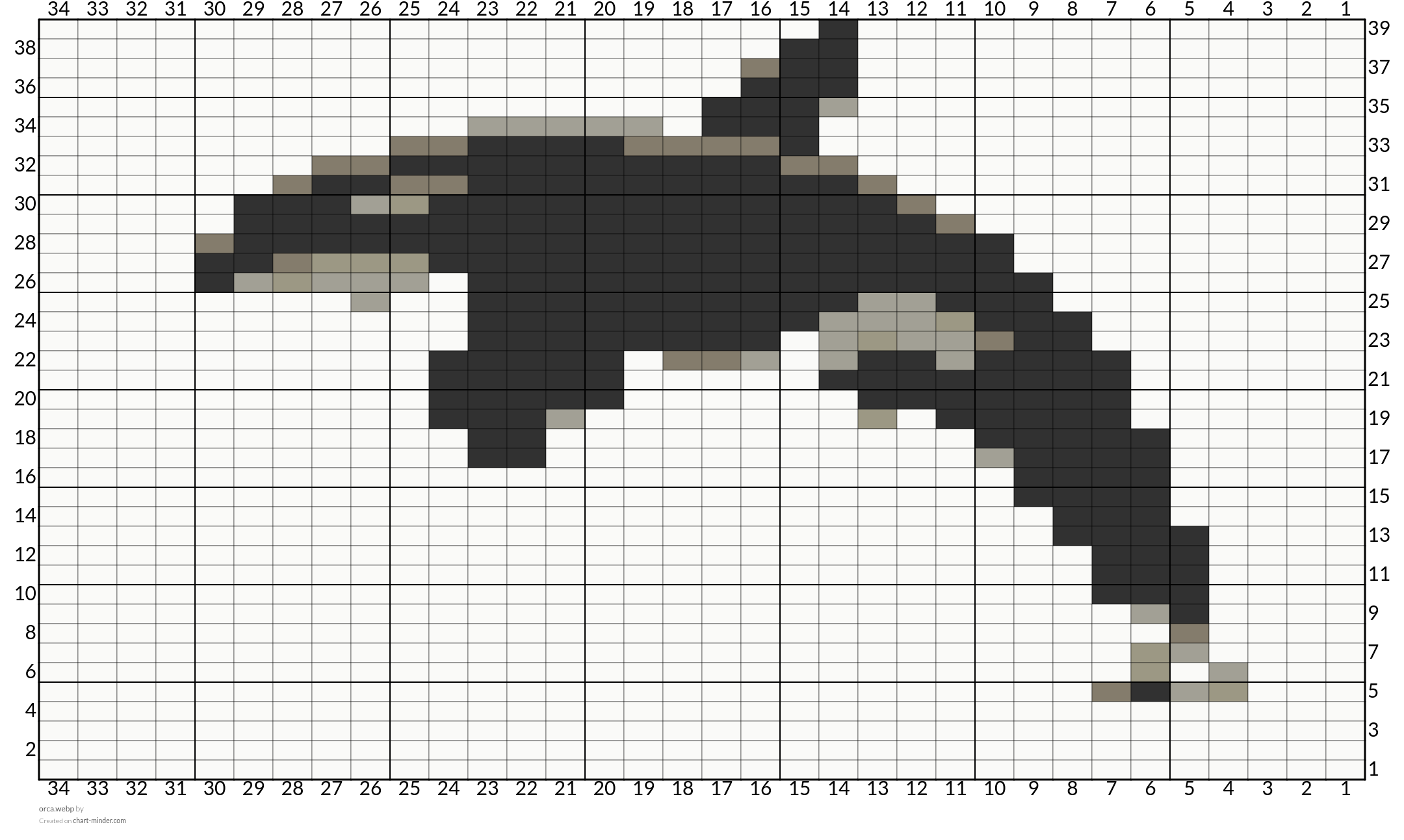 orca.webp