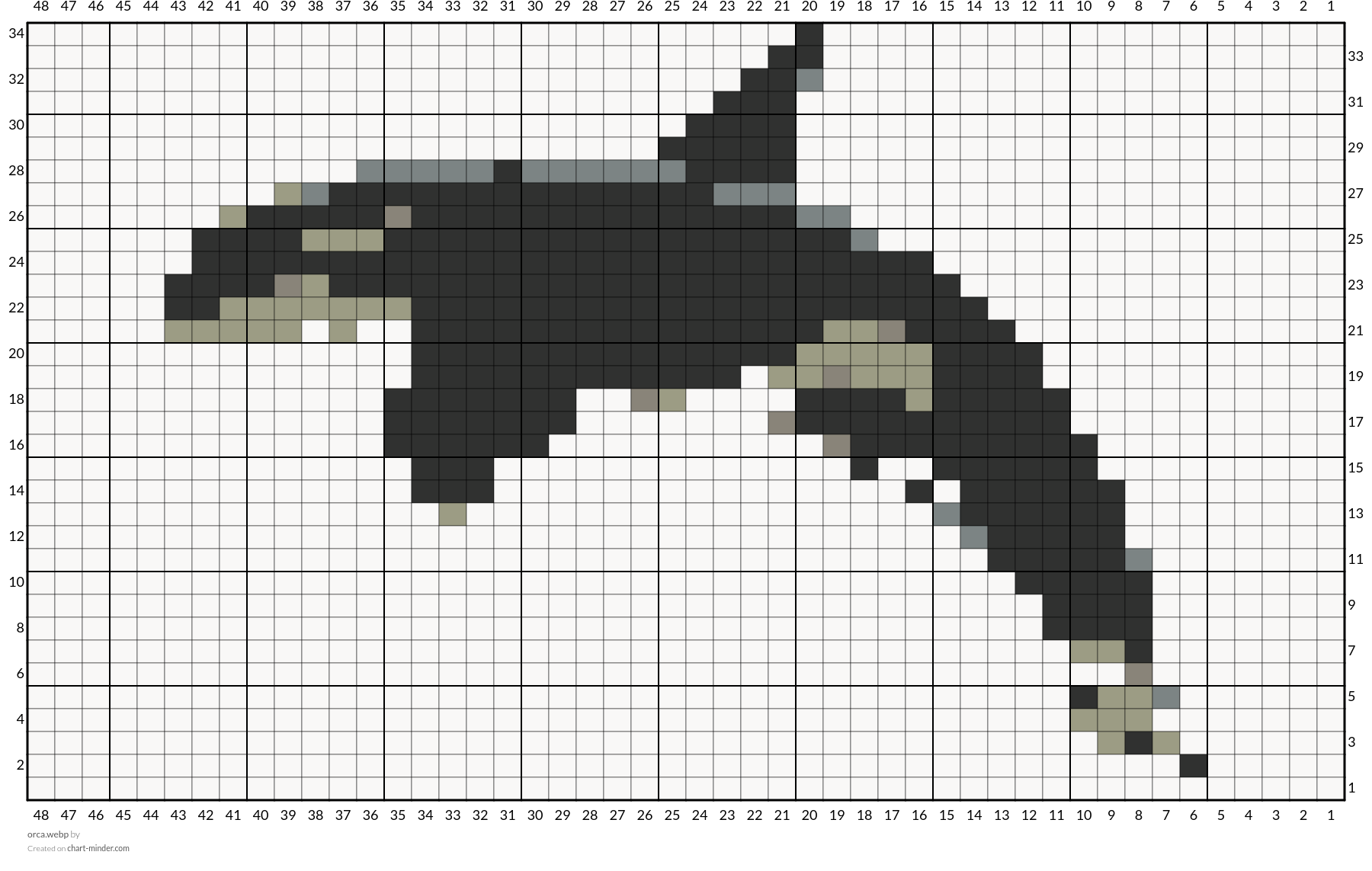 orca.webp
