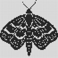 Moth