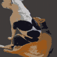 Copy of 1000011071.jpg