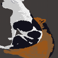 Copy of Copy of 1000011071.jpg