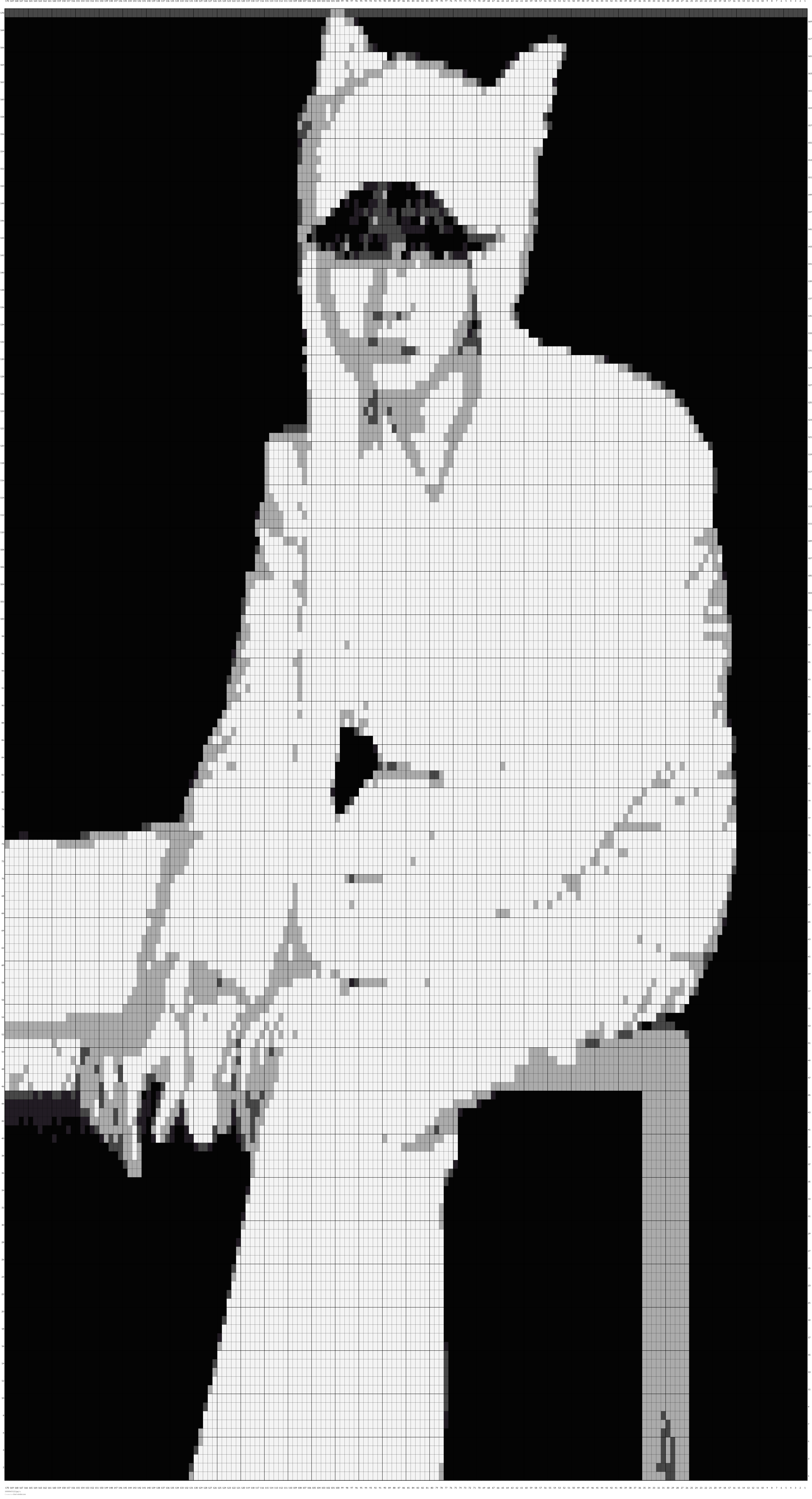 1000065122.jpg