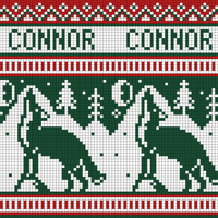 Connor's Stocking