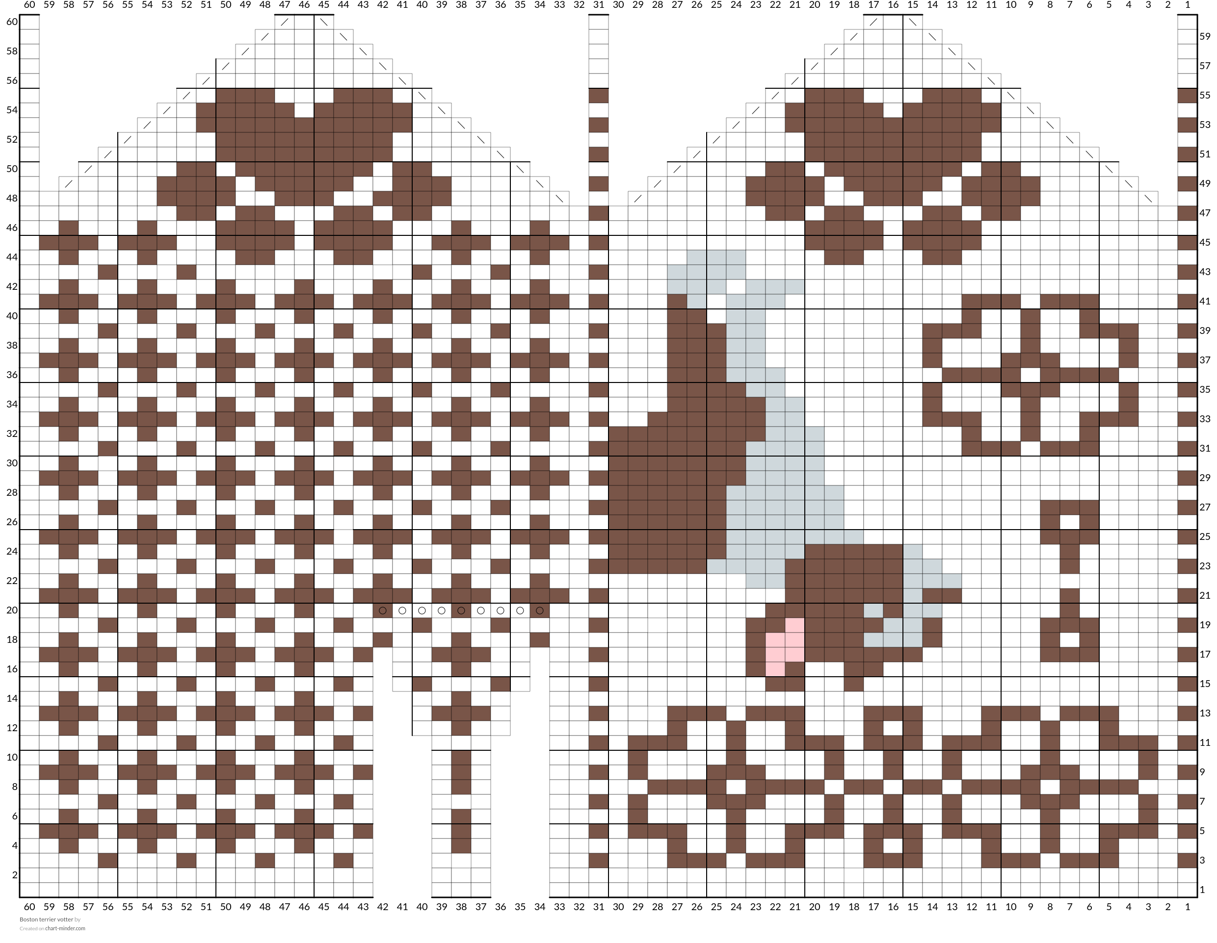 Boston terrier votter