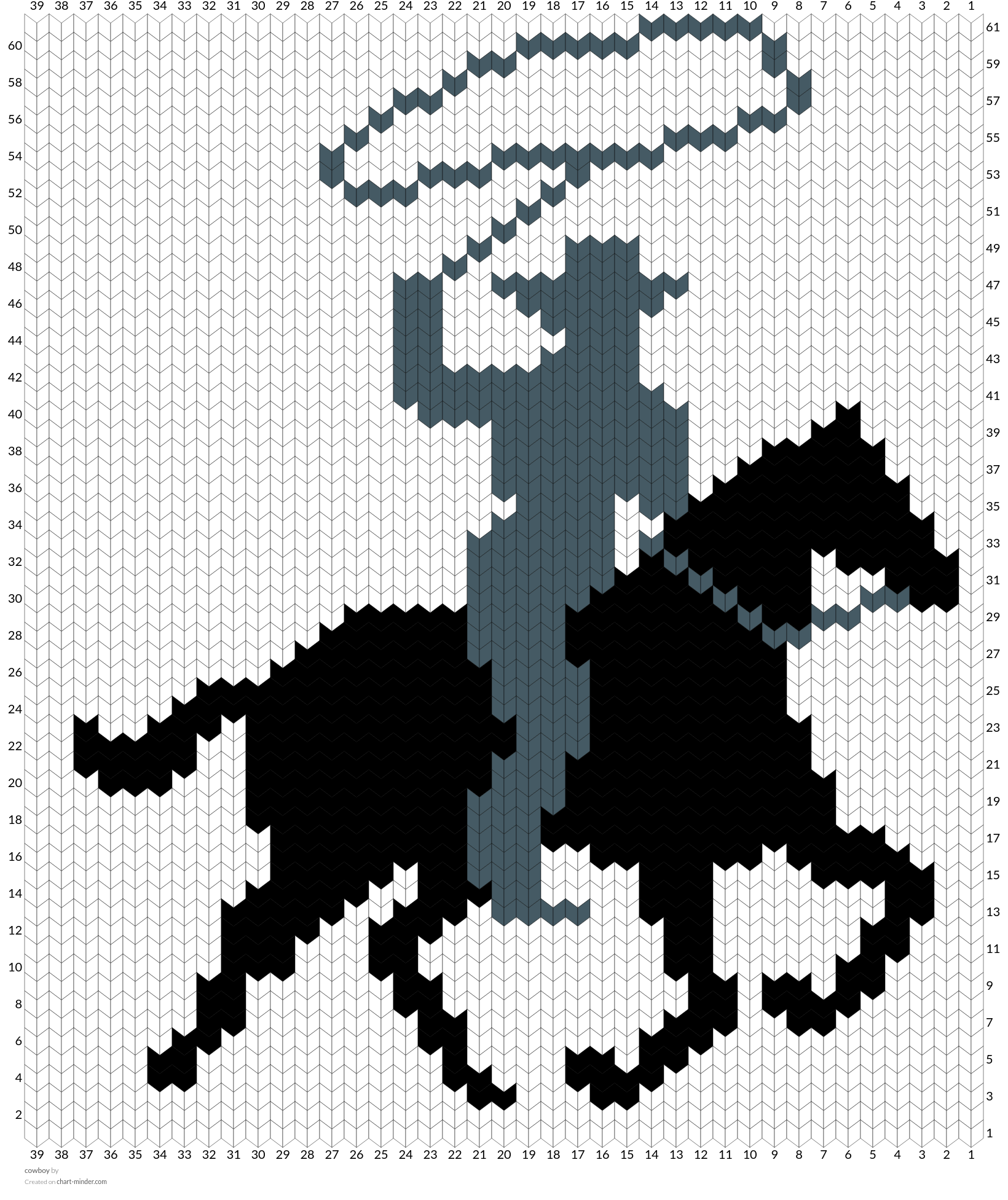 cowboy 