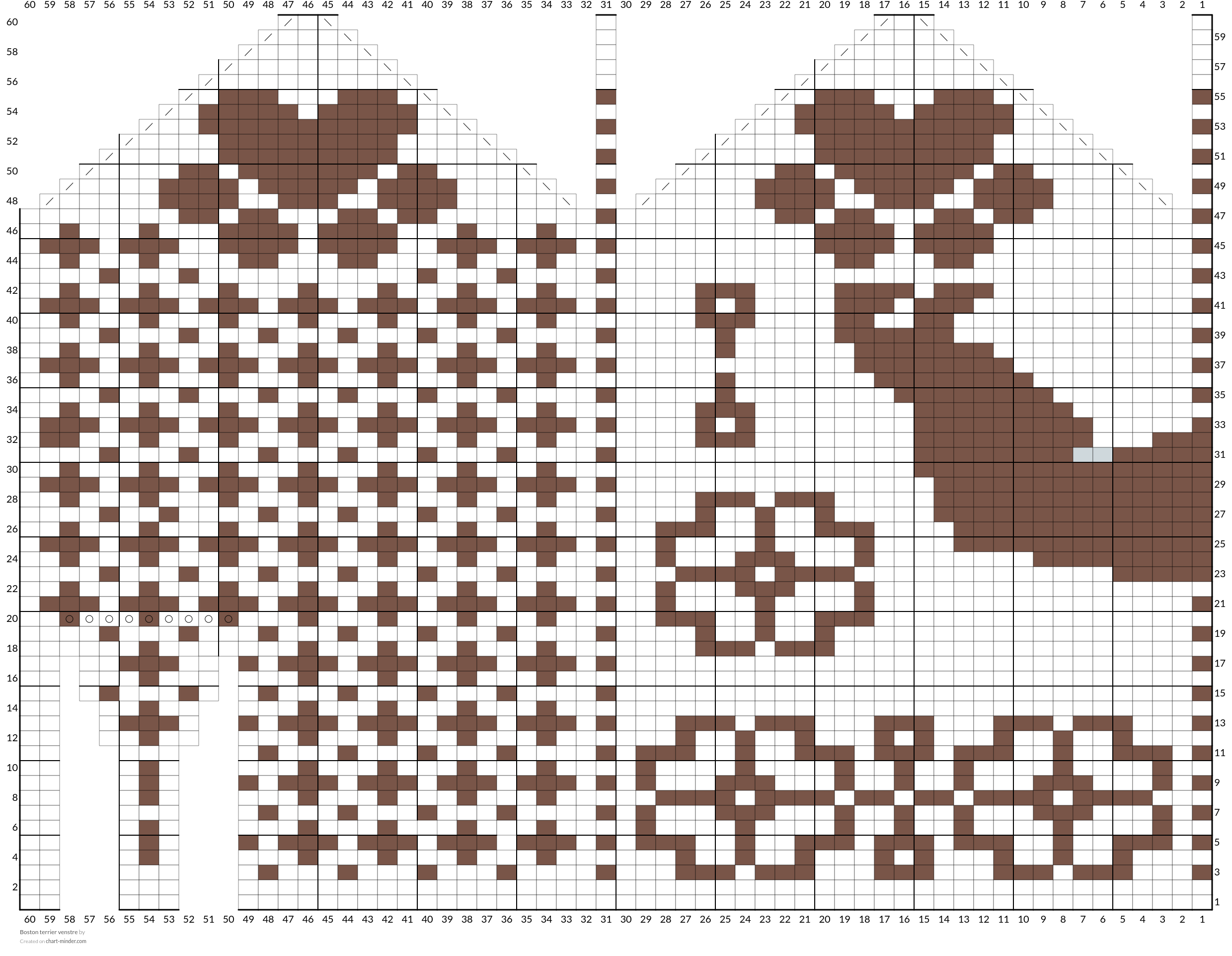 Boston terrier venstre