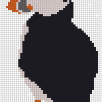 puffin-2030235_1280.jpg