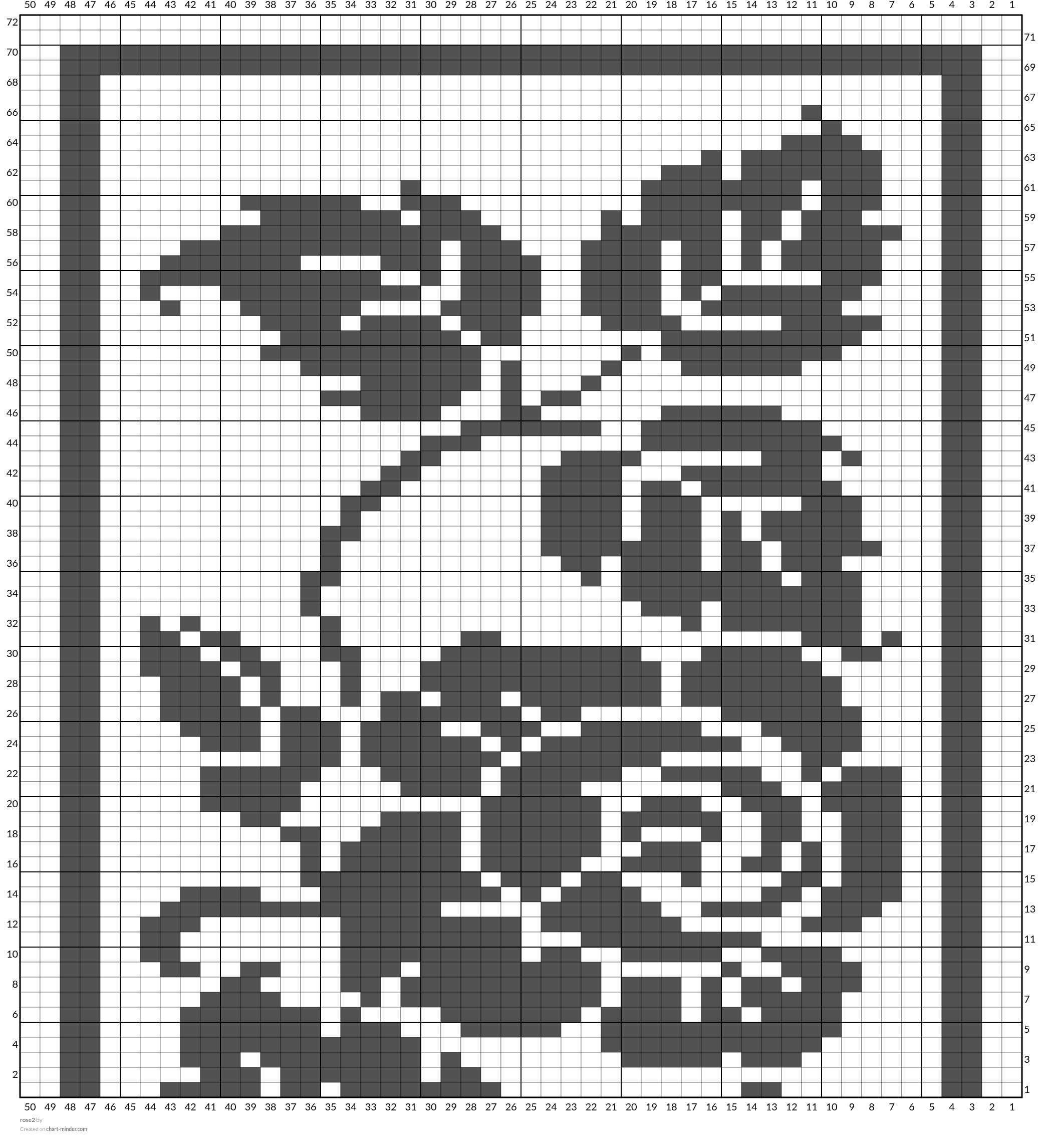 rose2