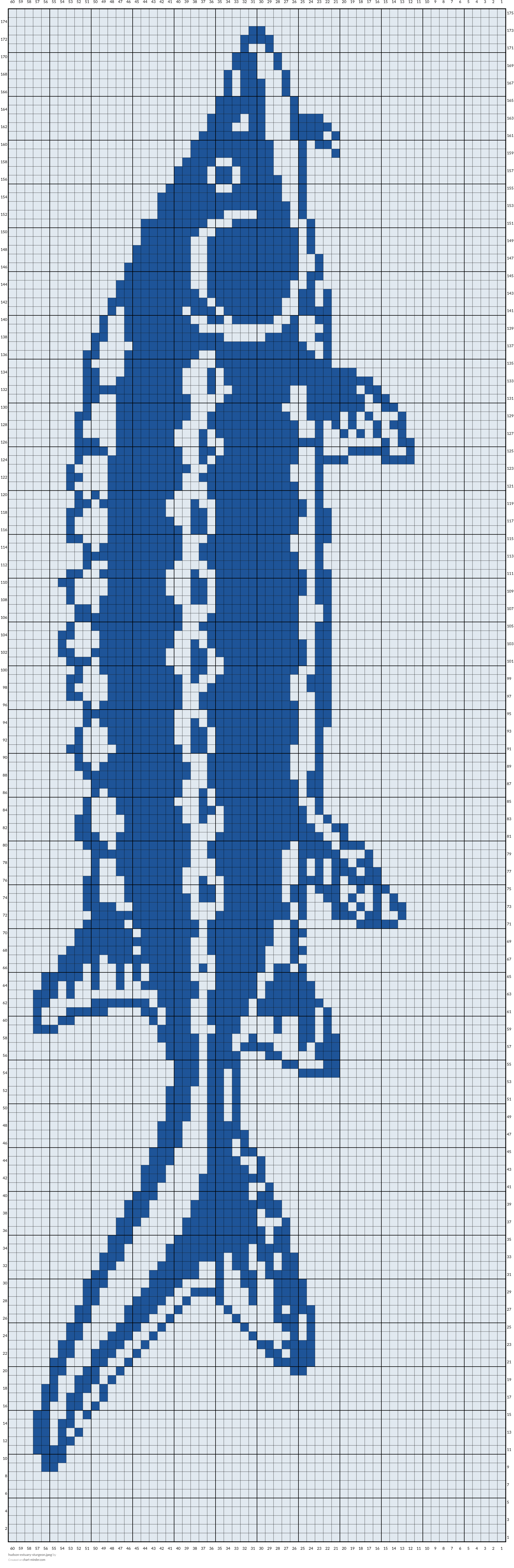 hudson-estuary-sturgeon.jpeg